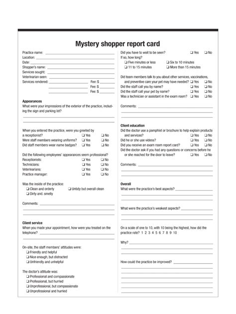 mystery shopping sample report.